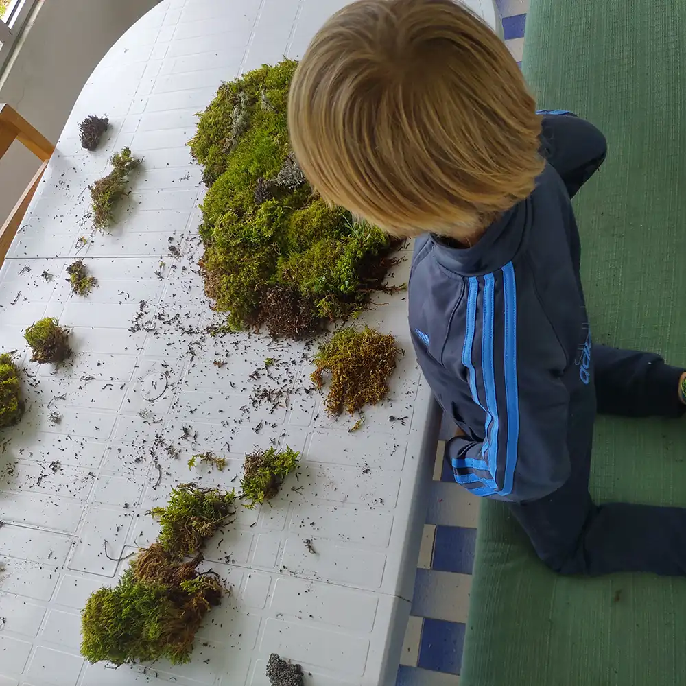 Moss art