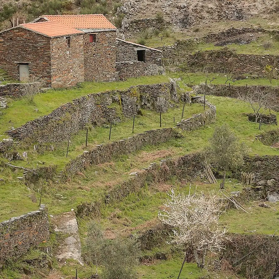 Antiguos muros de piedra en terrazas de cultivo, reflejo de la tradición rural.