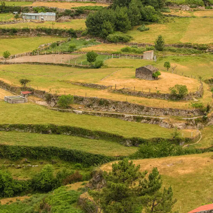 Tierras de montaña labradas: paisaje rural de la Serra da Estrela.