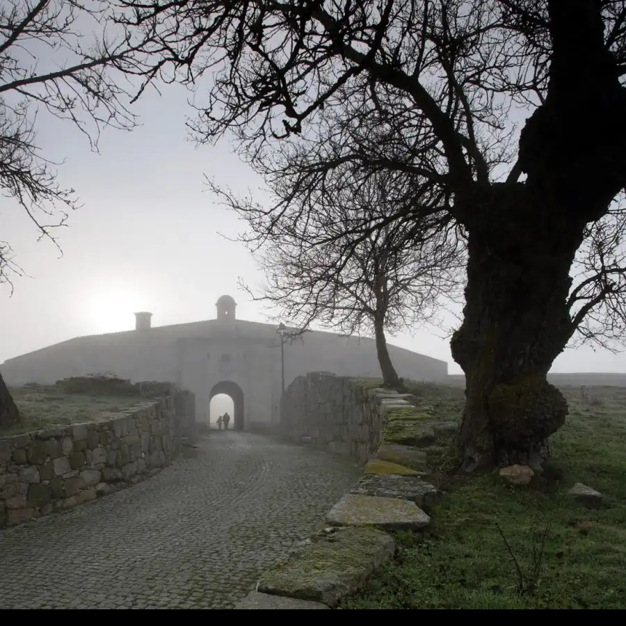 Camino ancestral en la Serra da Estrela, misterio y ruinas en la niebla.