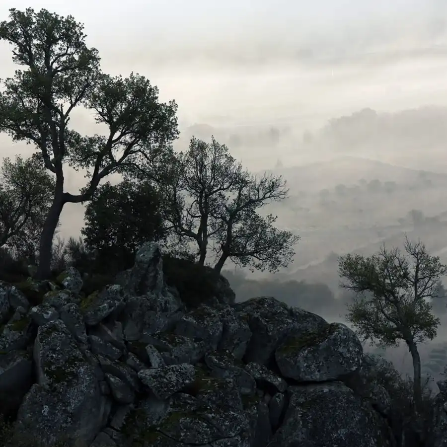 Paisaje brumoso en la Serra da Estrela: quietud, misterio y la belleza de la montaña.