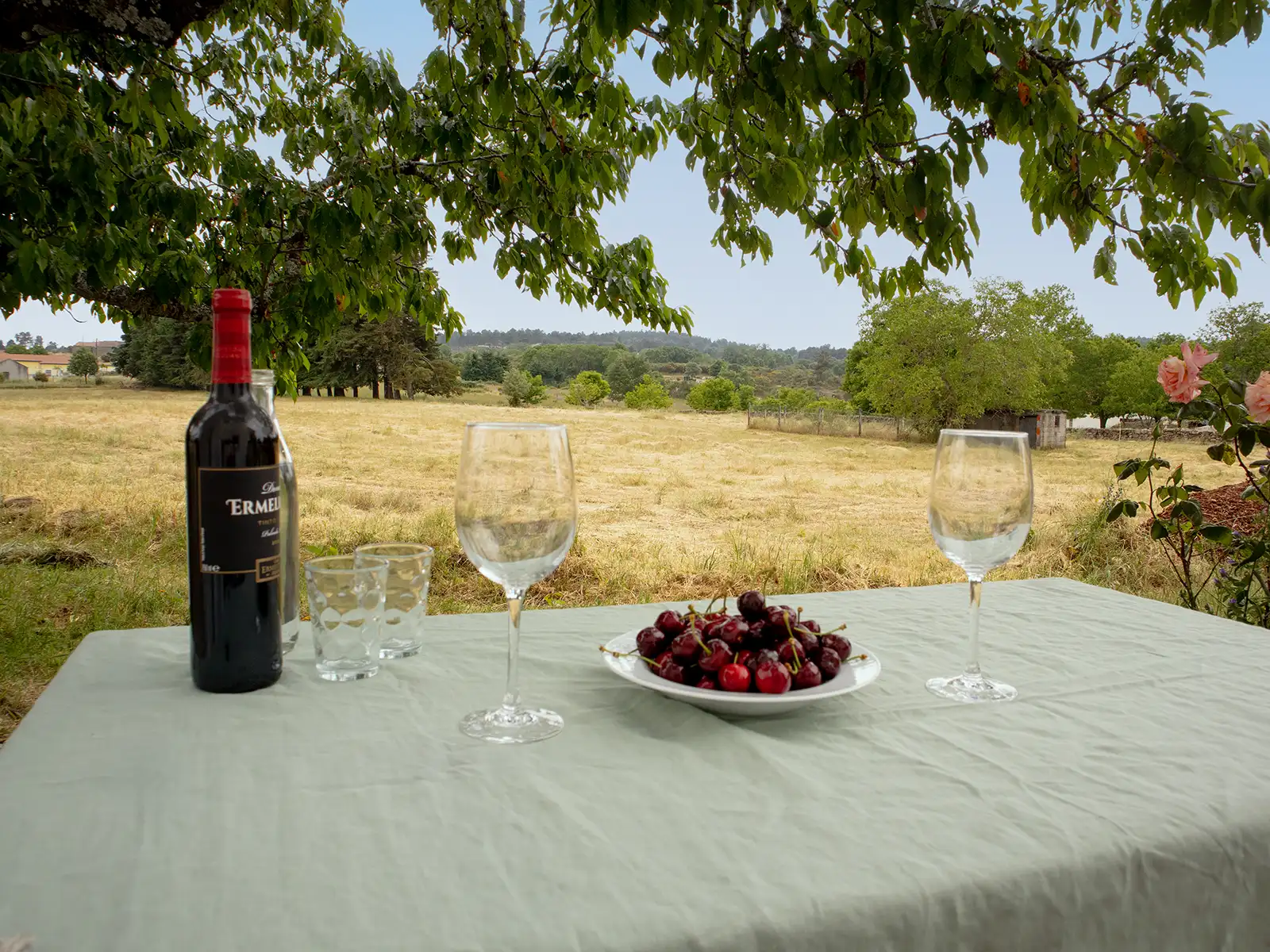 Degustación de vinos al aire libre en la Serra da Estrela. Degustación de vino al aire libre: un momento de calma y placer en la Serra da Estrela.