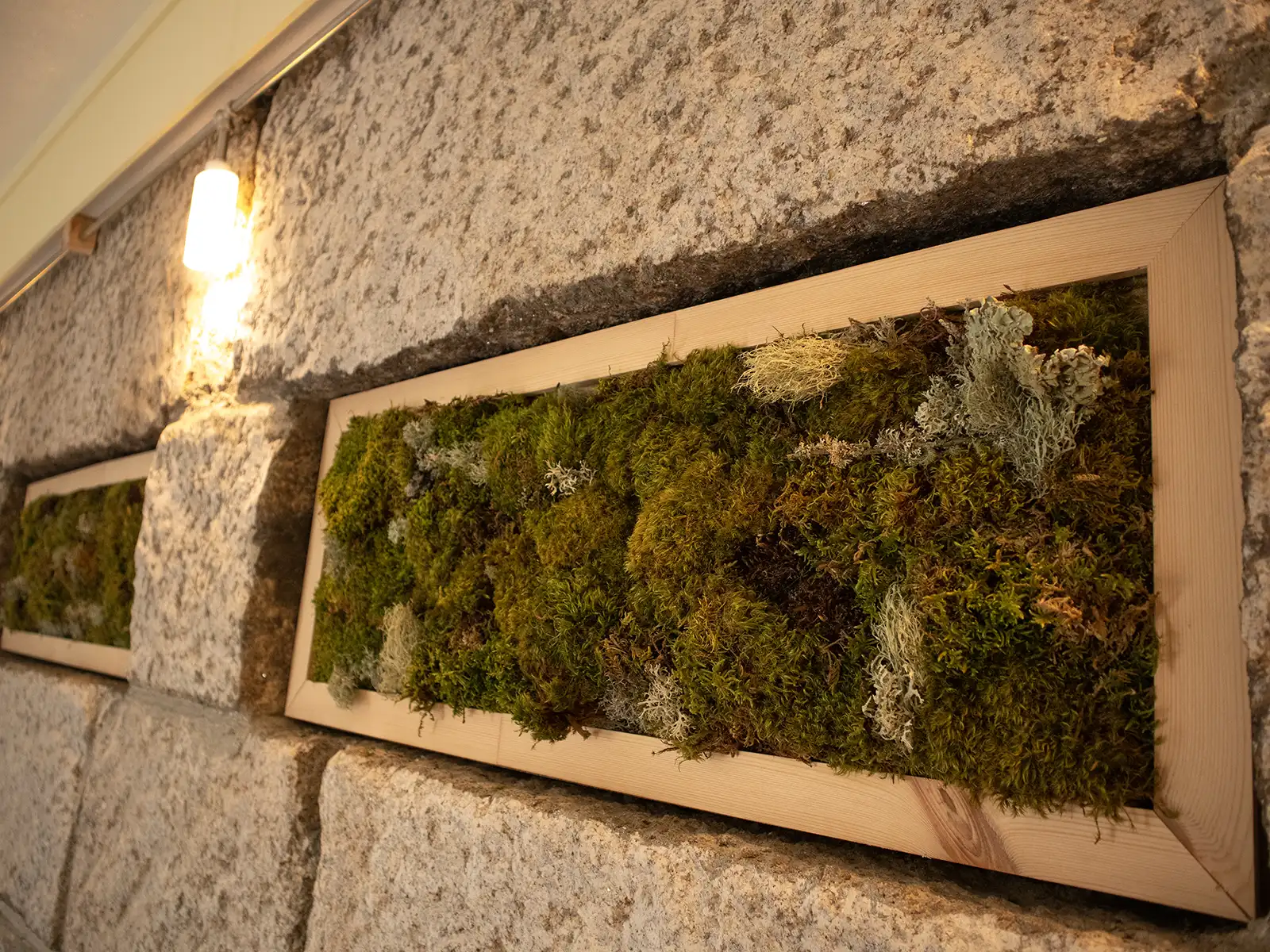 Jardín vertical: naturaleza y frescura en el corazón de la Serra da Estrela. Jardín vertical exuberante: naturaleza y frescura en un refugio de montaña.