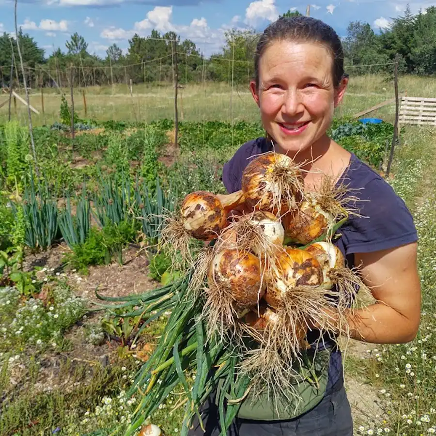 Cosecha de ajo fresco: un gesto de orgullo rural en la Serra da Estrela.