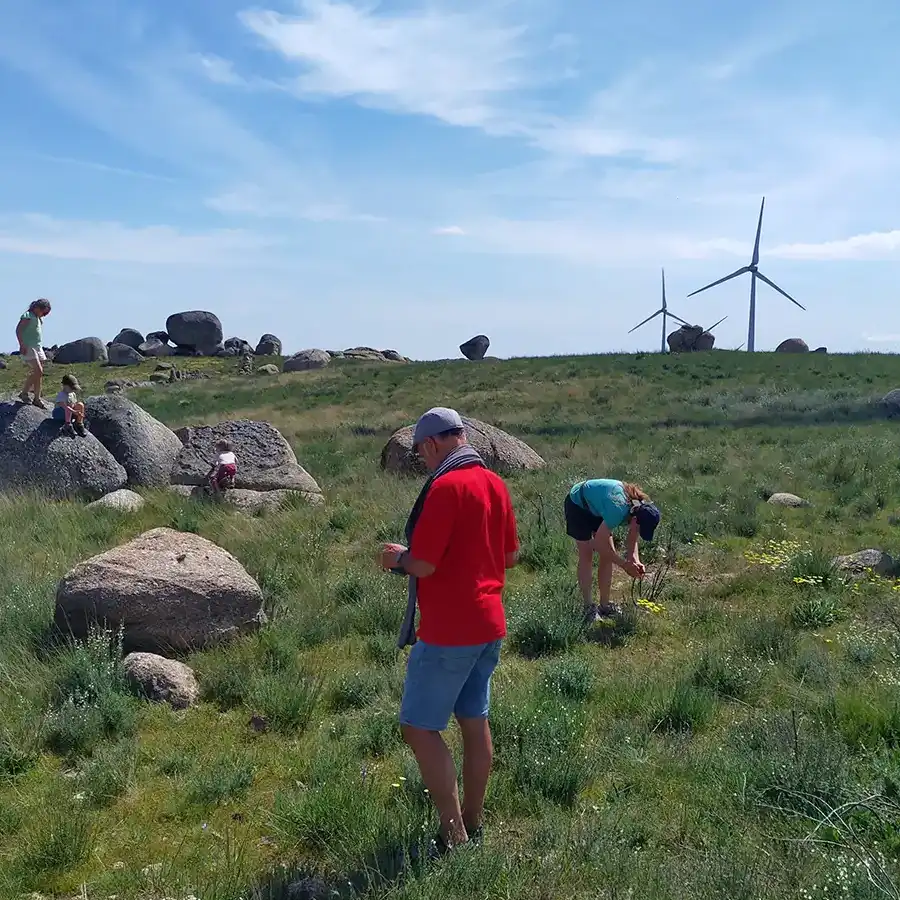 Nature Culture Hikes, Guided Walks, Outdoor Adventure, Explore Region, Storytelling, Landscape Connection