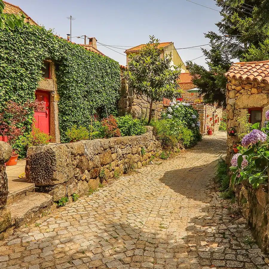 Póvoa Velha, Serra da Estrela, Hiking, Mountain Biking, Nature, Forested Paths, Scenic Loop Trail, Low Crowds, Year-Round Access