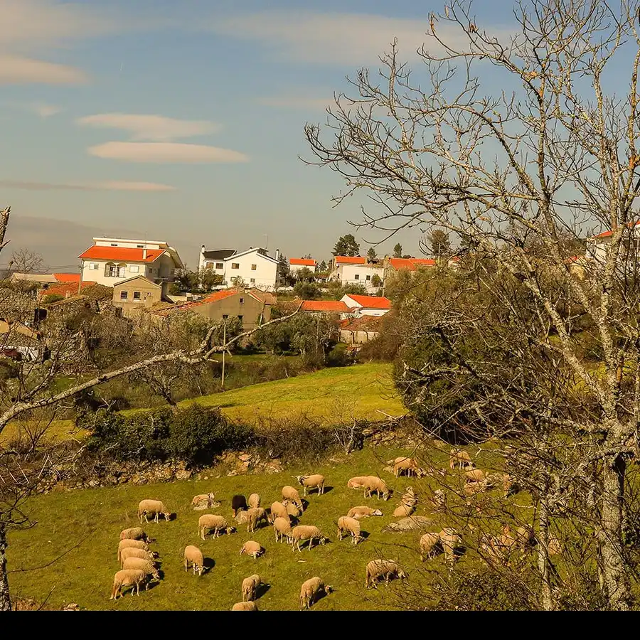 Village, Serra da Estrela, Hiking Trails, River Beaches, Historic Sites, Tourism, Portugal, Nature, Culture, Travel Destination.