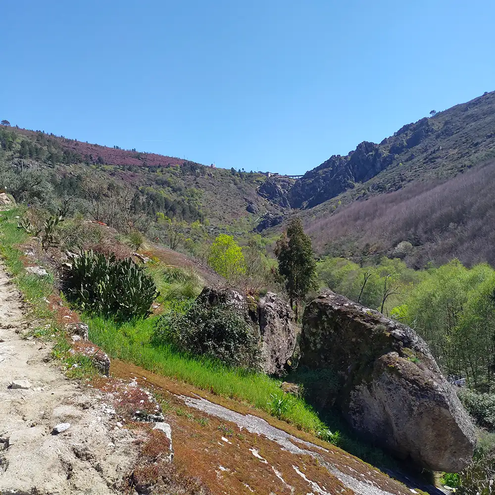 Adventure, Hiking, Nature, Portugal, Mondego River, Suspension Bridges, Serra da Estrela, Boardwalk, Landscapes, Biodiversity