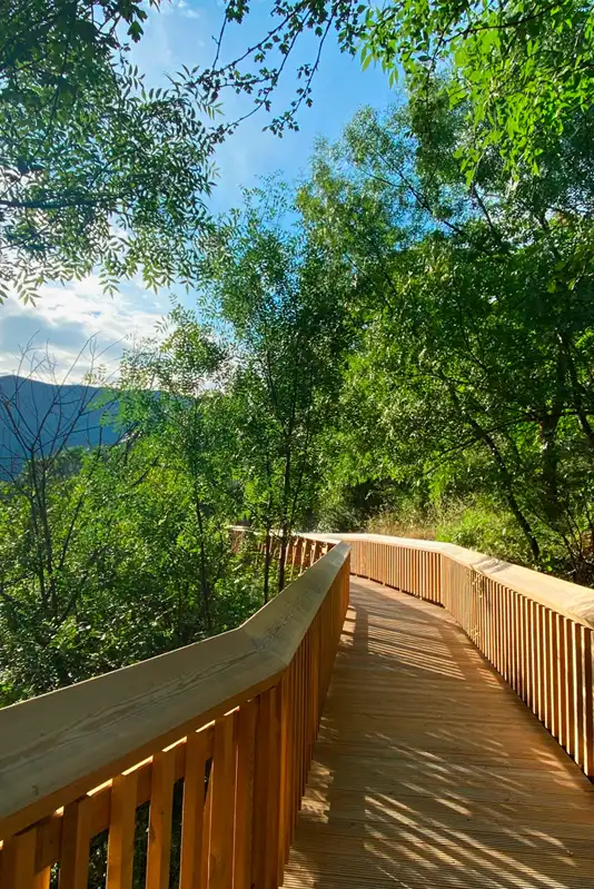 nature, Portugal, boardwalk, hiking, adventure, scenic beauty, biodiversity, suspension bridge, Mondego River, Serra da Estrela, outdoor activity, travel destination, Passadiços do Mondego, Europe