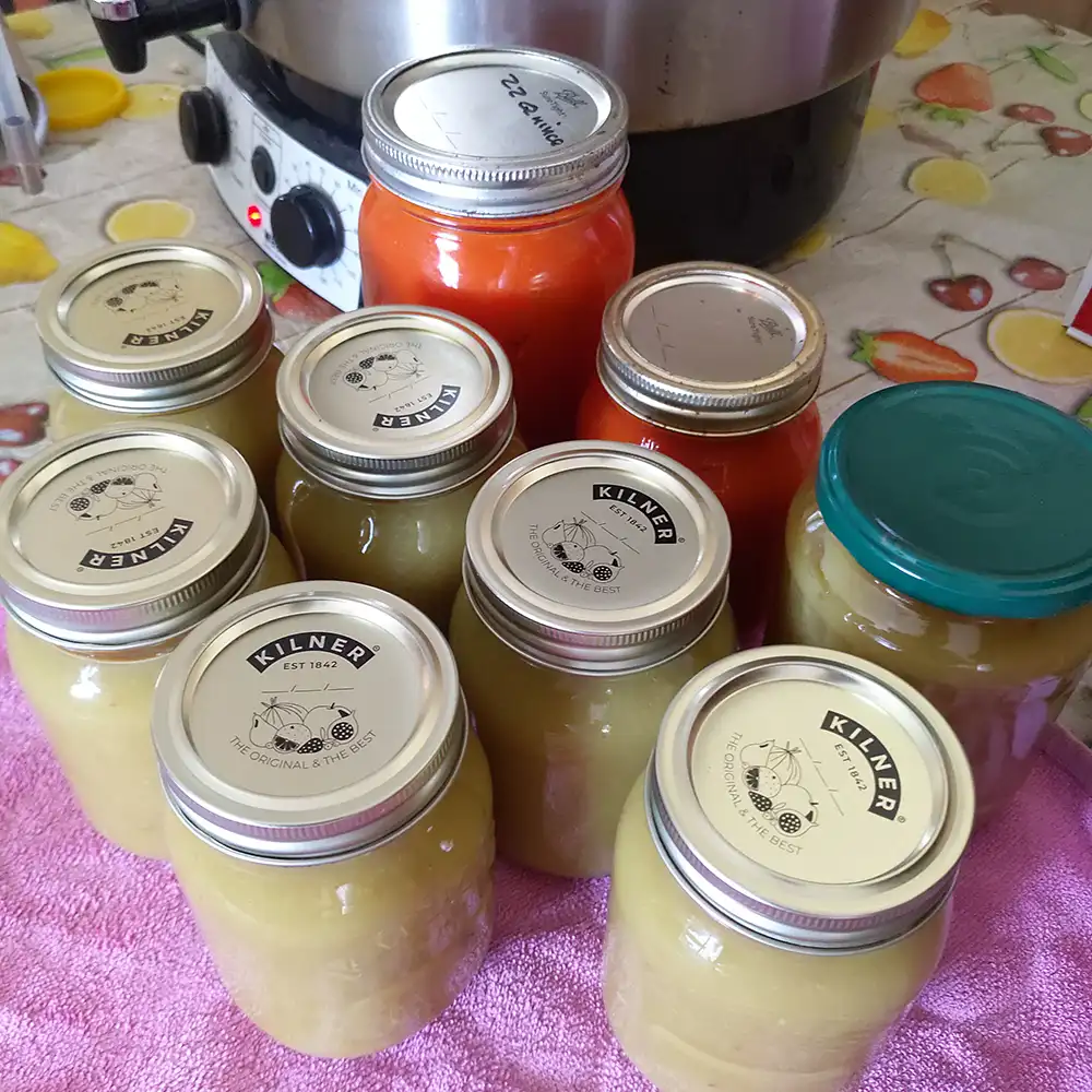 Apple compote making