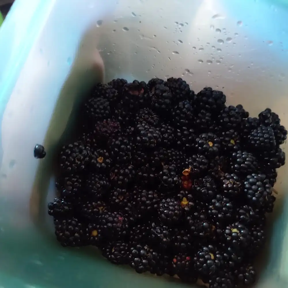 Jam and juice making