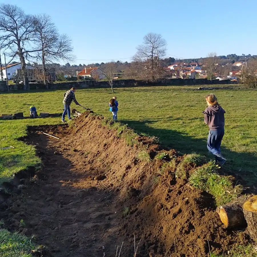 Soil Improvement, Organic Matter, Natural Fertilizers, Grass Cuttings, Rotational Grazing, Sandy Soil, Poor Nutrient Soil, Regeneration, Animal Grazing, Sheep and Goats, Deep Regeneration