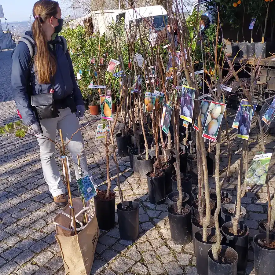 Food Forest