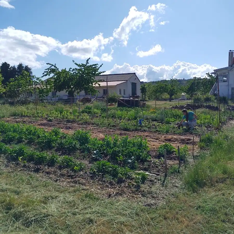 Market Garden, Organic Fruits and Vegetables