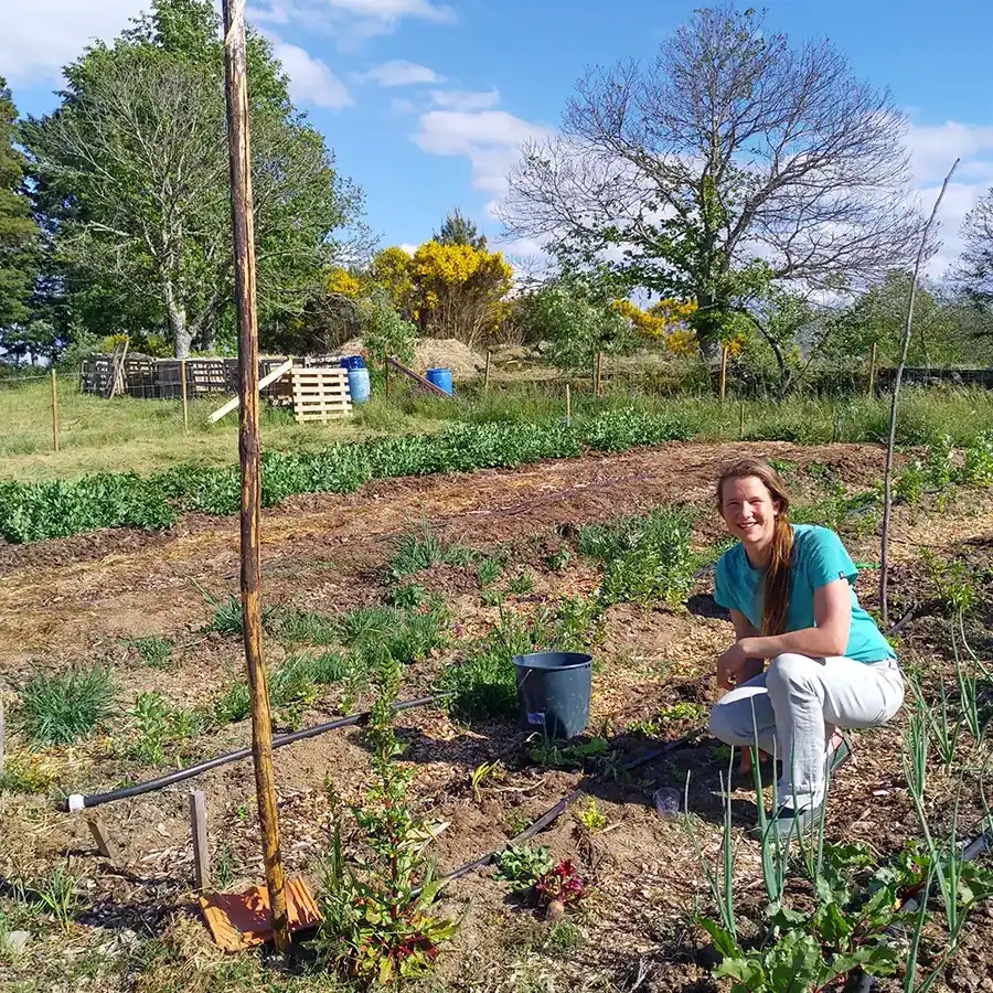 no-dig vegetable garden, self-made compost, organic fruits and vegetables, drip irrigation, fencing