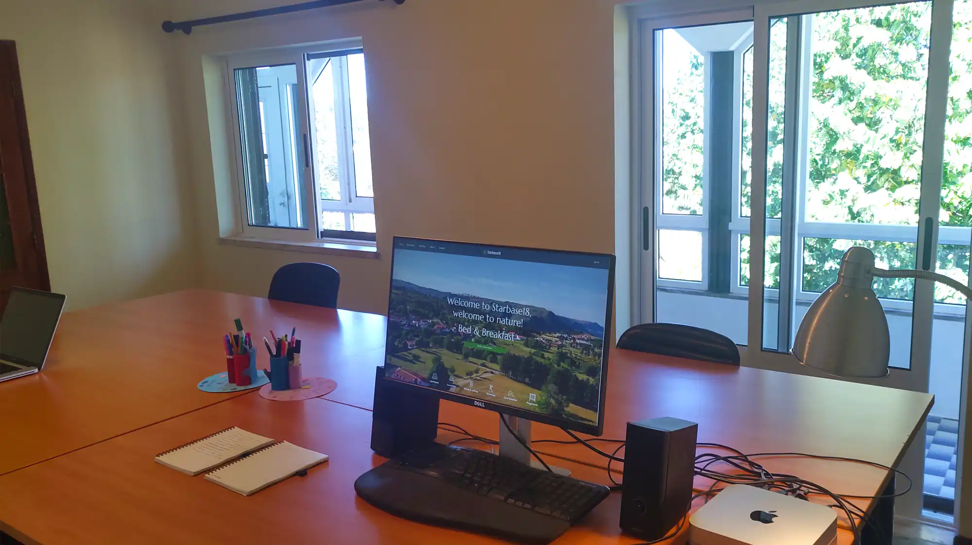 Co-working Space, A bright, shared desk area with laptops, plants, and natural light.