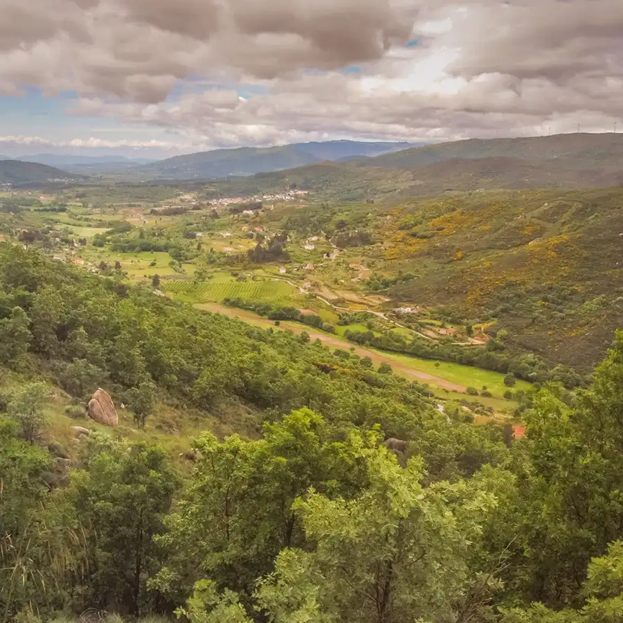Het uitzicht van de Serra da Gardunha op de Serra da Estrela, een prachtig uitzicht.