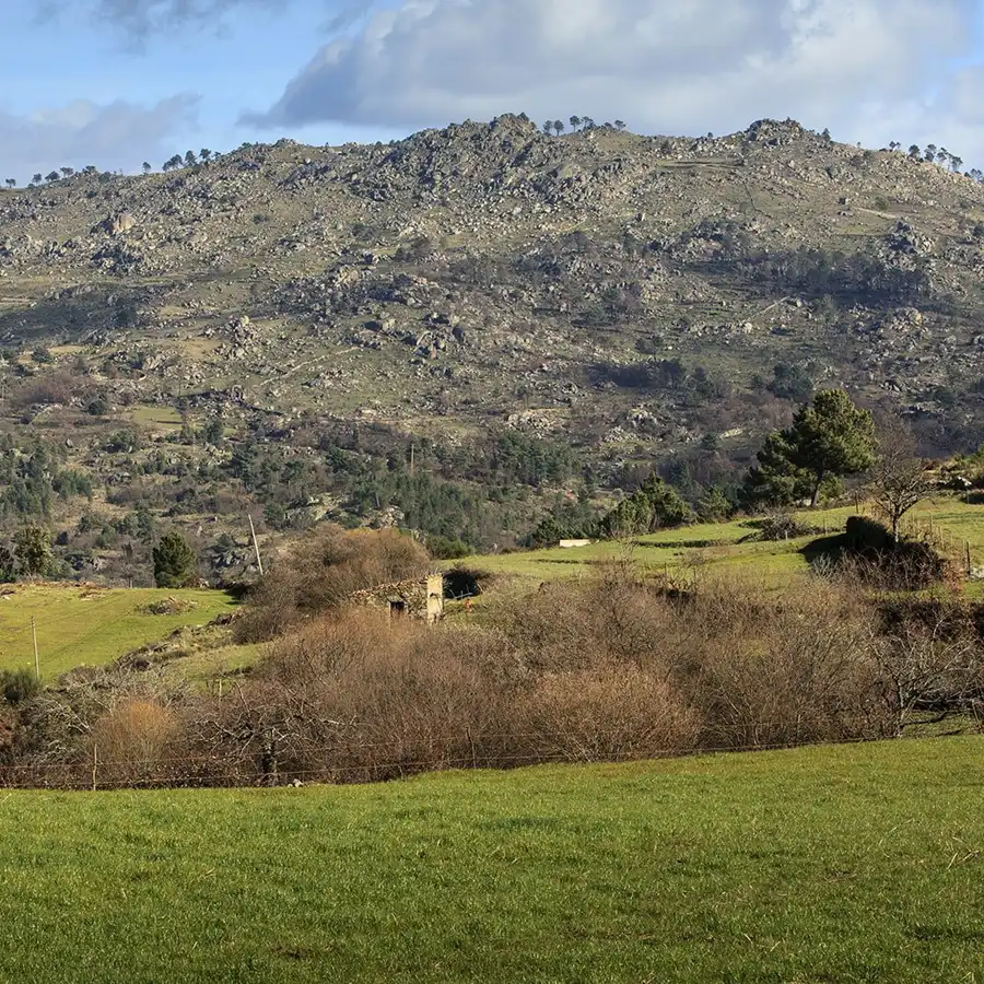 Heuvelachtig landschap in de Serra da Estrela, ideaal voor wandelingen en natuurschoon.