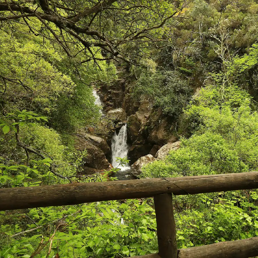 Een sprookjesachtig bos met waterval, rust en ongerepte natuur in de Serra da Estrela.