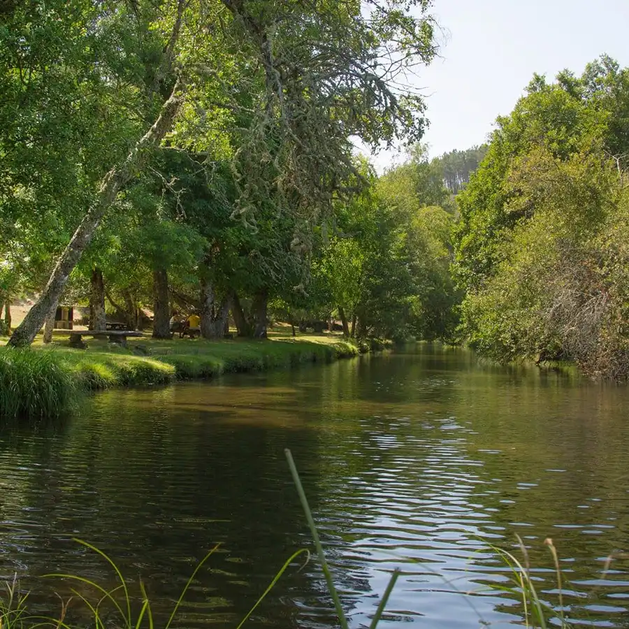 Rustige beek in de Serra da Estrela, perfect voor wandelaars en natuurliefhebbers.