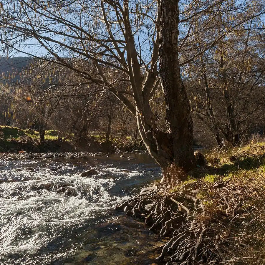 Rustige rivierlandschap in de Serra da Estrela: ongerepte natuur en vrede.