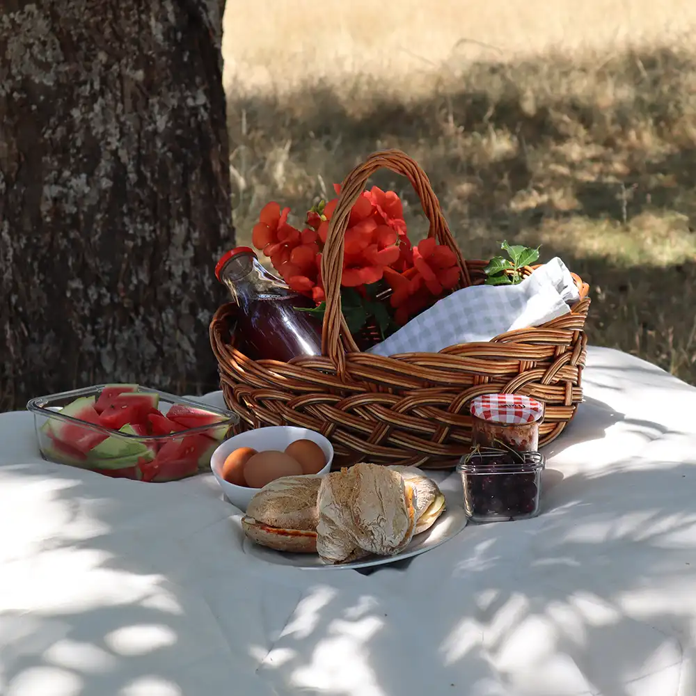 Een zonnig picknicktafeltje in de schaduw van de Serra da Estrela.