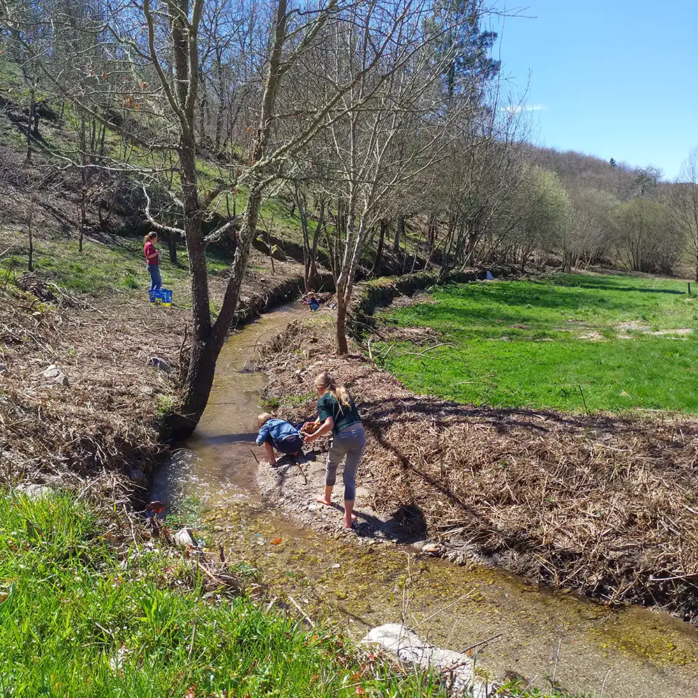 Water wheel engineering