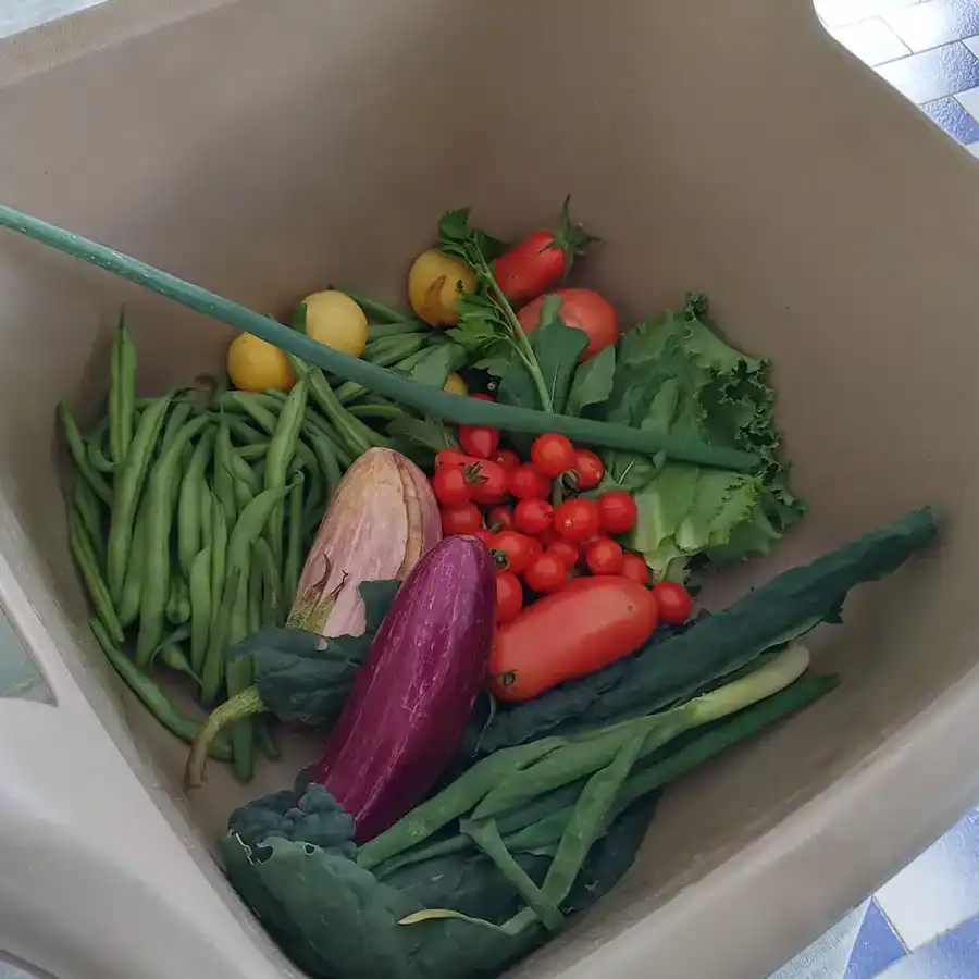Verse groenten uit de tuin: een gezonde en smaakvolle start van de dag.