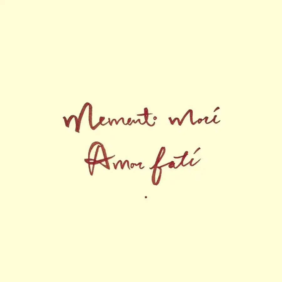 Memento mori is de Latijnse spreuk die ons eraan herinnerd dat we sterfelijk zijn. Amor fati geeft hierin de lessen weer dat we vreugde en waarde kunnen halen uit iedere ervaring.