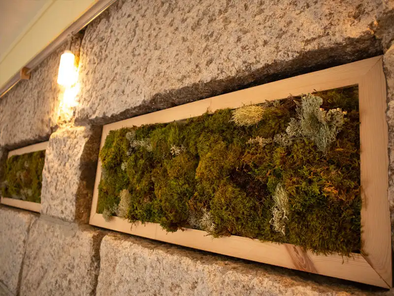 Groene oase: diverse planten in een natuurlijke, rustgevende wanddecoratie.