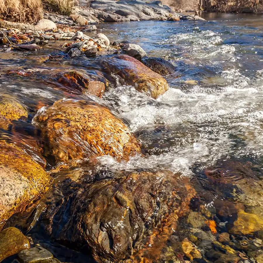 Um ribeirão de águas cristalinas, refúgio sereno no coração da Serra da Estrela.