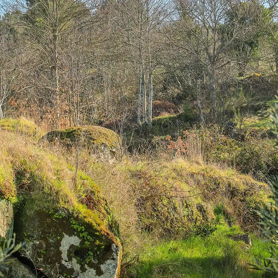 Paisagem selvagem da Serra da Estrela, ideal para caminhadas e contacto com a natureza.