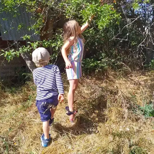 Jam and juice making