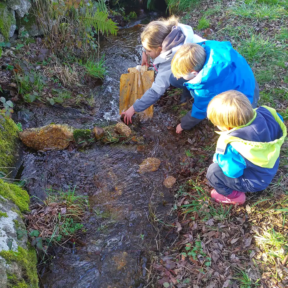 Water wheel engineering