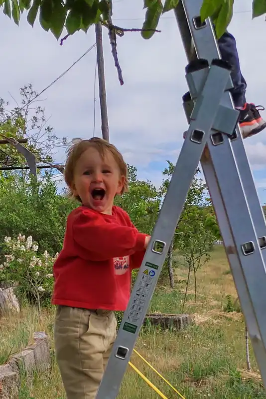 Workshops para crianças